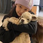 [댓글부탁해] 또 <b>숏</b><b>컷</b>병 도졌는데 어캄