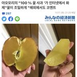 [댓글부탁해] 시험<b>범위</b> 모고지문 다 외울수잇어?