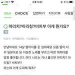 야리칭?비<b>치부</b>가 뭐야?