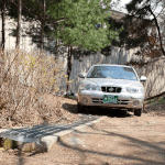 [고양이] 부르면 달려오는 냥냥이 치즈