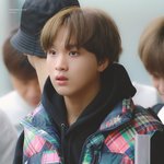 [NCT즌] 진짜 초<b>코볼</b> 굴려