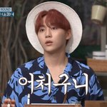 [세븐틴] 에휴 어그로 ㅈㄴ 많은거 같은데 승과니 온거에