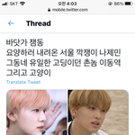 [NCT즌] 잼동 <b>신동</b> 전에 잼동했던 애 있음?