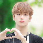 [더보이즈] 더비들 하루 남았어ㅜㅠㅠㅠㅠㅠㅠㅠㅠ