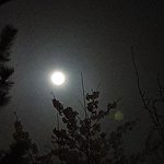나 예전에 적었던 로망 이뤘어