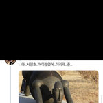 [NCT즌] 우리 쟌 <b>어디</b>가...