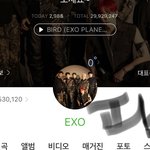 ㅑ <b>레이</b>가 그렇게 별로여????