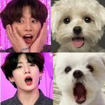 (영업) <b>전정</b>국말티쥬