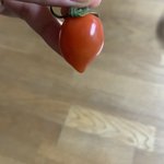 [19] 나 턱선 <b>미침</b>