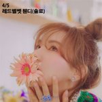 봄인데 벌써부터 핫한 '4월 컴백'