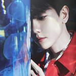 <b>변백현</b> 이 사진 쩐다
