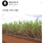 <b>윤기</b>야