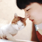 [<b>빅톤</b>] 그냥 이유없이 올리는