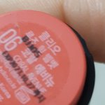 [댓글부탁해] 클리오 <b>코랄</b> 에비뉴 무슨톤임?