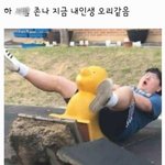[조언부탁해] 고1 <b>태권도</b>