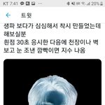 [세븐틴] 난 이게 젤 어이없음