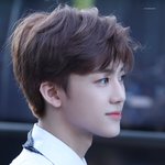 [NCT즌] 디멜이 나재민 <b>레전드날</b>