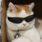 변기에 빠진 렌즈