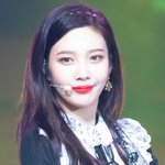 숙대입시 <b>홈마님</b>이 올려주신 조이