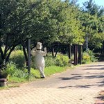 [방탄소년단] 석진이 오늘 <b>산책</b>했나봐!목격짤뜸ㅜㅜㅜㅜㅜ