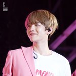 이건 진짜 <b>멍뭉이</b>다