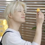 [NCT즌] <b>님</b> 신고요