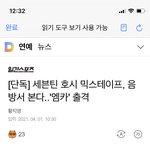 [세븐틴] 호<b>싱</b>이 음방 ㅜㅠㅜ