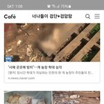 집앞에 이런곳이 있었다니 ㅜㅜ