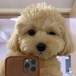 [댓글부탁해] 고2 문학 내신 대비 권선경 vs 길<b>미영</b> 추반 ㄱ ㄱ ㄱ...