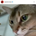 [강다니엘] 인스타업+유니버스 <b>프로필사진</b>