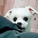 (<b>영업</b>) 다들머해