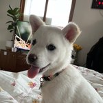 엄마 친구 <b>일금</b>이~