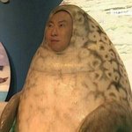 야 친구한테 톡 보냈는데 에바인 것 같음?