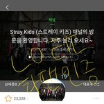 [스키즈] 이분 뭐야..ㅠ?