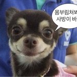 <b>밤비</b> 뮤비 이런말해도될까