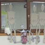 [이것좀봐줘] 우리 학교 보건 시간에 <b>해골</b> 조립했는데