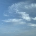 아니솔직히