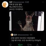 [NCT즌] <b>시상</b>에 개웃겨