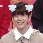 야야 이거 무슨 종임?