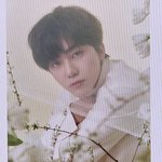 [NCT즌] <b>비컷</b>도 이정도