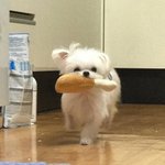 [NCT즌] 웨<b>이션</b> 숙소에서 먹을거 가져오는 김정우