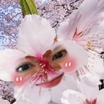 <b>알지</b>