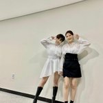 써니힐 <b>역주행</b> 기원 5일차