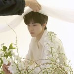 [NCT즌] <b>얌전</b>야옹이