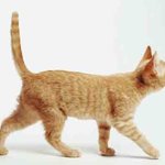 <b>설화</b> 썰 품.jpg