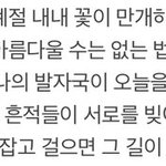 [빅톤] 아 이거 내가 엔터에 댓글 남긴건데