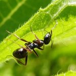 [BTOB] 자자 여러분 (사진 지움^)