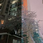 [드루와] 보정 <b>전후</b> 대박이징