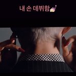 [세븐틴] 이거 <b>손</b> 댄서분이래