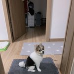 우리집엔 개<b>토커</b>가 있ㄷㅏ